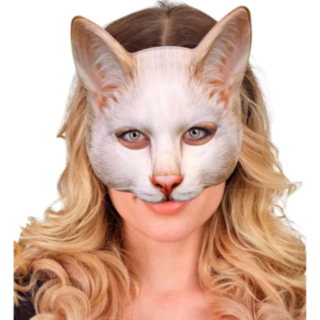 Kissa Naamio