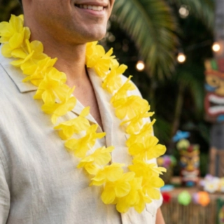 Waikiki Havaiji Kaulaseppele Keltainen