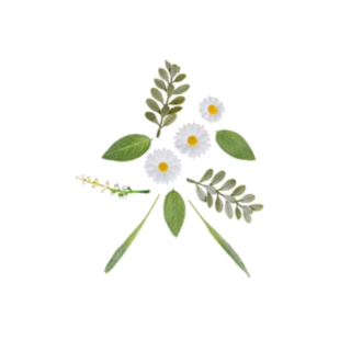 Päivänkakkara Tekokukat Valkoinen/Keltainen/Vihreä