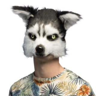 Huskynaamio