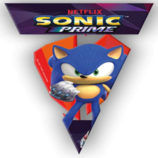 Sonic Prime® Kartiopussit
