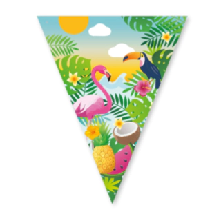 Aloha Viirinauha