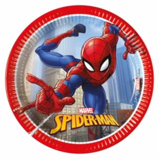 Spider-Man® Pahvilautaset