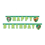 Paw Patrol® Dino Happy Birthday -Viirinauha