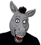 Hauska aasinaamari